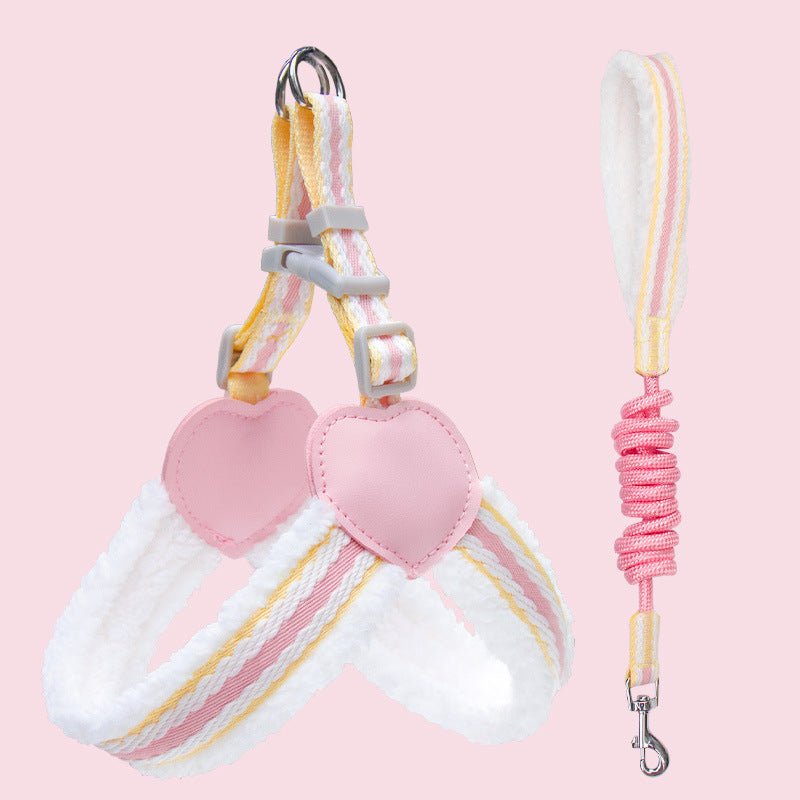 Enhance Your Summer Walks with the Perfect Leash